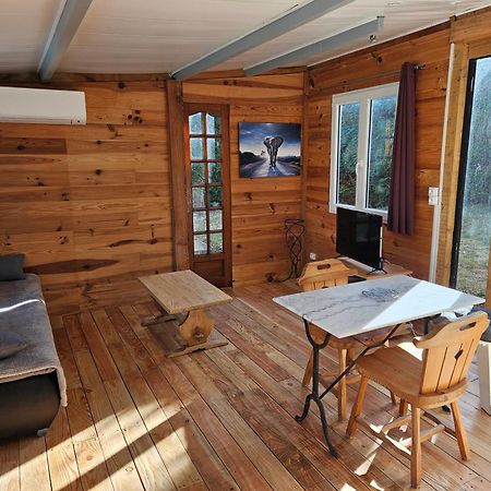 Chalet Banane Devant Piscine, A 6Km Du Festival De Piano De La Roque D'Antheron Rognes Kültér fotó